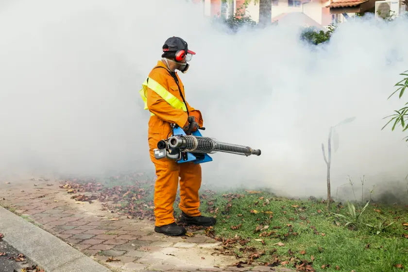 Control del mosquito tigre en Sant Cugat del Vallès — NaturaPest