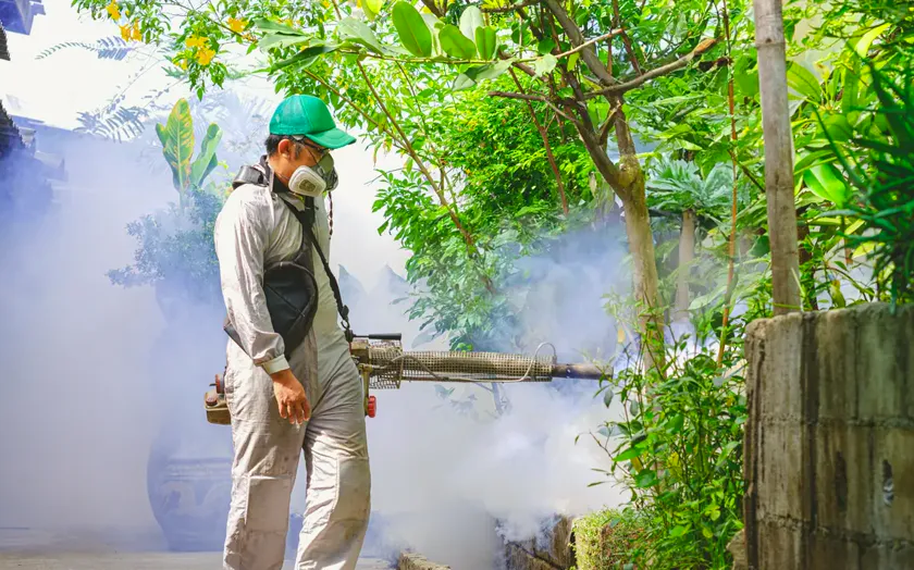 Tratamiento de mosquito tigre en Sant Cugat del Vallès — NaturaPest