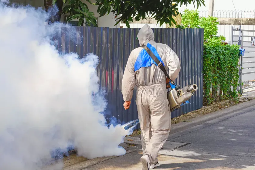 Tratamiento de mosquitos en Sant Cugat del Vallès — NaturaPest