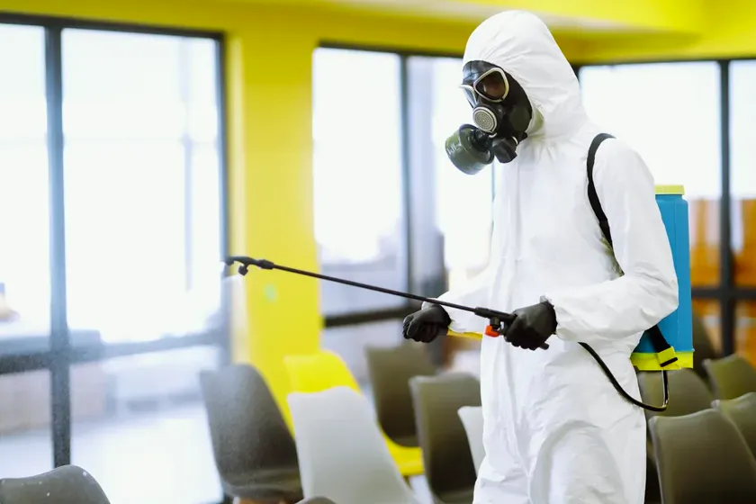 Control de plagas para clínicas y residencias en Sant Cugat del Vallès — NaturaPest